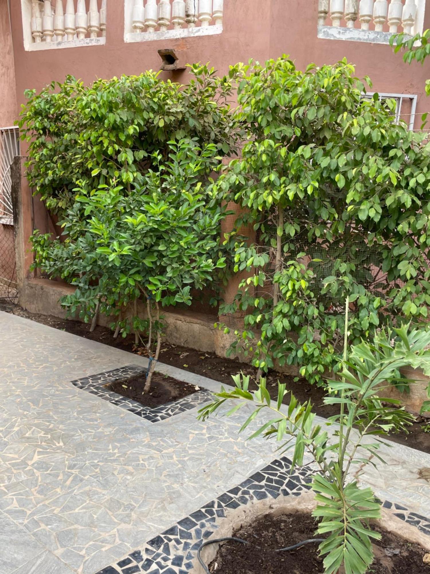 Villa18 Safari Village Saly Екстериор снимка